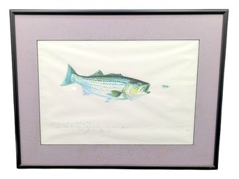 Artist James Prosecks Striped Bass Watercolor Print