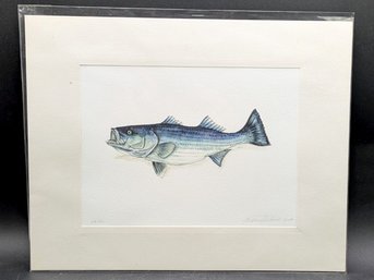 Limited Edition, Signed Print Of A Striped Bass