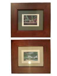 Set Of 2 Framed Fine Art Nature Prints Deep Mahogany Profile Frames
