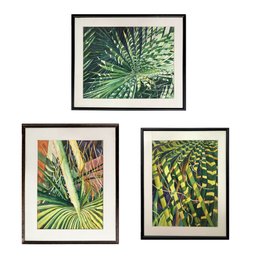 Trio Of Magnificent Watercolors On Paper Signed  Daniele Tzeutschler