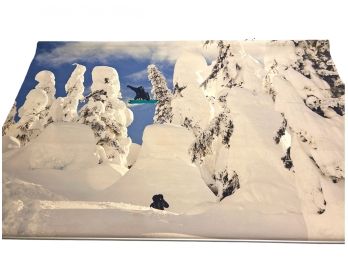 Pottery Barn Snowboarder Wall Mural