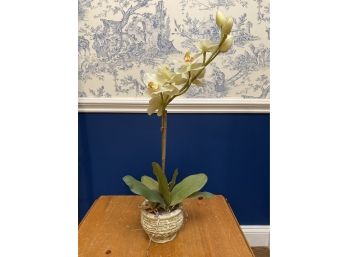 Faux Orchid In Pot