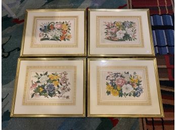 Set Of 4 Framed Botanical Prints