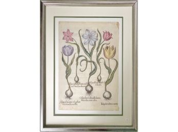 Large Botanical Print In Custom Silver Finish Frame
