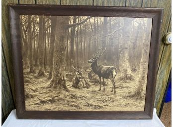 Large Vintage Nature Print