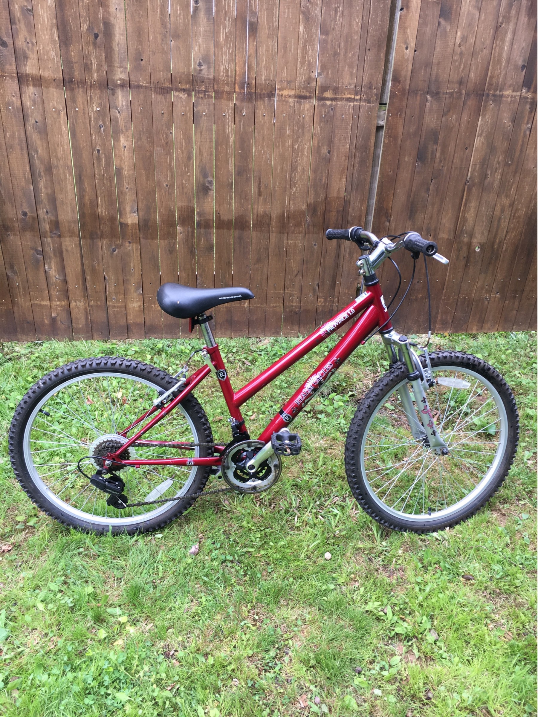 Realm Cycles Province Mountain Bike #40537244