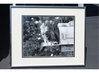 Original Photography By Garry Seidel Titled 'The King Of Hearts'