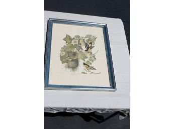 Amazing Audubon Print 1937 Baltimore Oriole