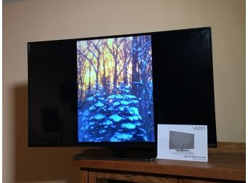 Like New VIZIO LCD Flat Screen 39' TV - Looks Like BRAND NEW  With Box, Remote & Manual - WORKS PERFECTLY