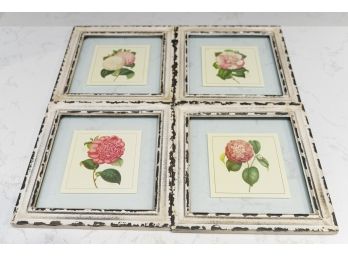 4 Framed Botanical Prints