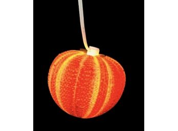 Sea Urchin Nightlight