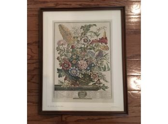 Pieter Casteels  From The 12 Months Of Flowers Collection August Print