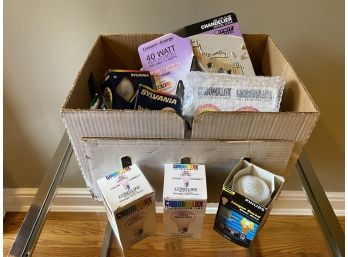 Large Bundle Of LED And Incandescent Light Bulbs - Wattage And Styles Vary