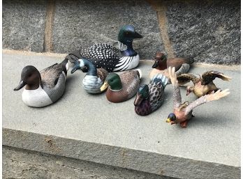 Collection Of Duck Decoys