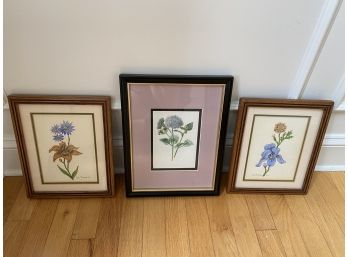 3 Framed Pictures