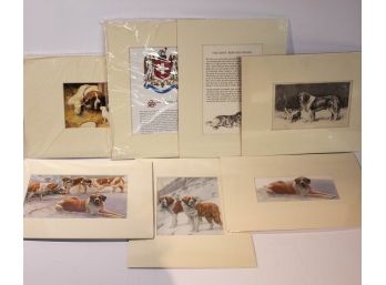 Collection Of Saint Bernard Prints