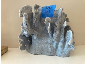 Beach Sign And Blue Coral