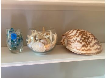 Beach Shells: Large Conch Shell Plus Glass Bowl Of Starfish And Shells And Seaglass In Glass.