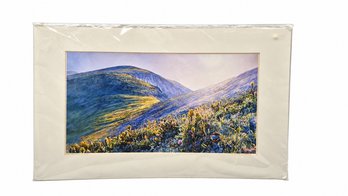 New In Package, Signed & Numbered Mountain Landscape Print With Wildflowers