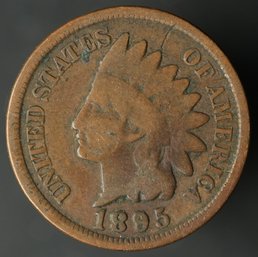 1895 Indian Head Cent