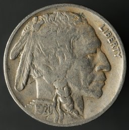 1920-P Buffalo Nickel