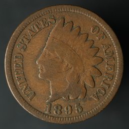 1895 Indian Head Cent