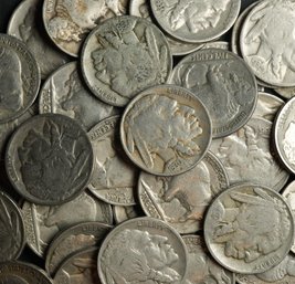 (40) Buffalo Nickels