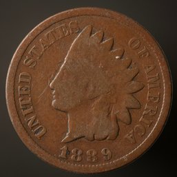 1889 Indian Head Cent