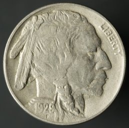 1929-P Buffalo Nickel