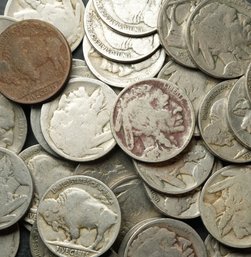 (40) Buffalo Nickels
