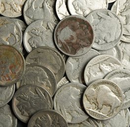 (40) Buffalo Nickels