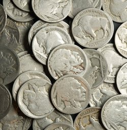 (40) Buffalo Nickels