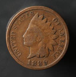 1889 Indian Head Cent