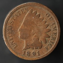 1891 Indian Head Cent