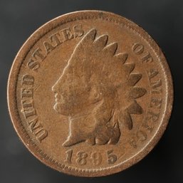 1895 Indian Head Cent