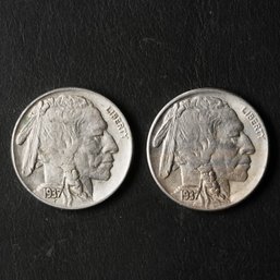 1937-P,S Buffalo Nickels
