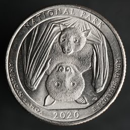 2020-P Washington National Park Quarter - Covid Bats