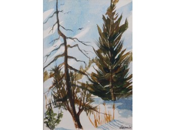 Howard Besnia: Winter Watercolor