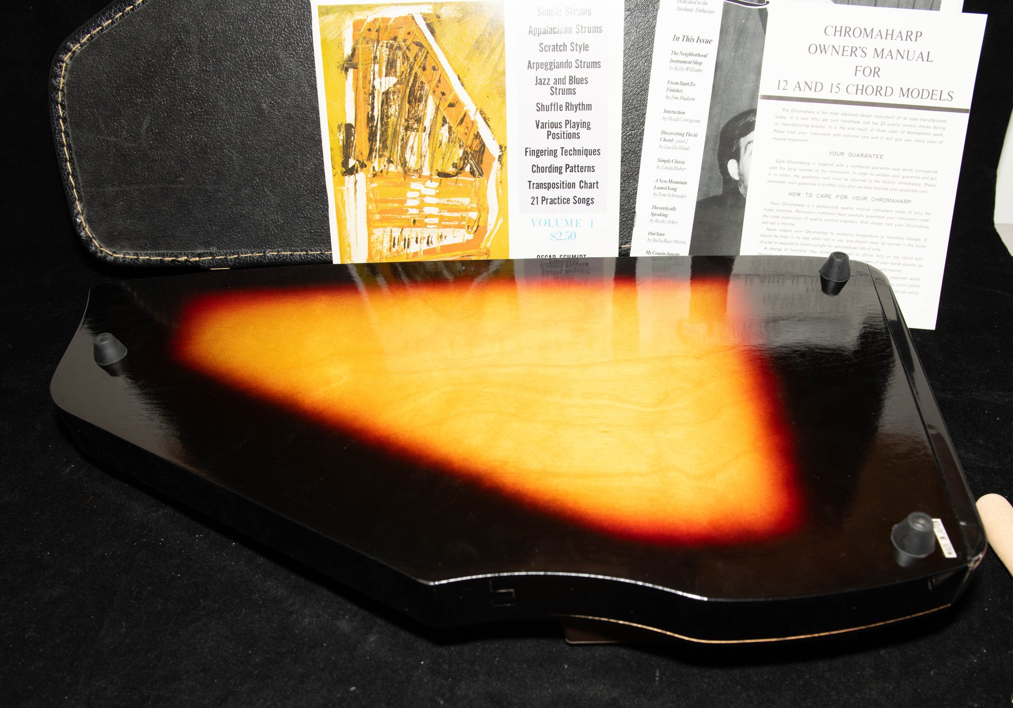 Rhythm Band RB1545 15-chord Chromaharp With Case #73739 | Auctionninja.com