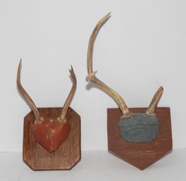 Vintage Taxidermy Deer Mounts