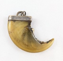 Genuine Bear Claw Pendant Set In Sterling Silver Cap.
