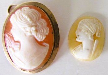 Two Cameos, One Mounted As A Pin.