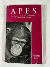 Vintage Book 'Apes: An Account Of Personal Experiences In A Zoological Garden' By Winifred Felce, 1948