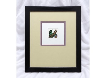 Dan Mitra Hand Colored Botanical Etching 'Vanilla Planifolia Bean' Framed Art