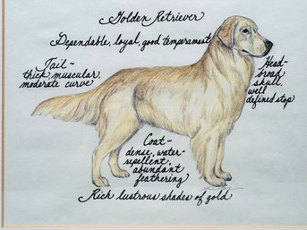 Vivienne & Sponge For Ballard Designs Golden Retriever Dog Print