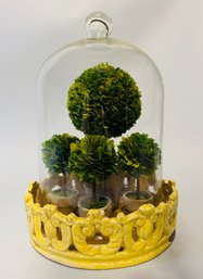 Ceramic And Glass Dome Terrarium Display With 4 Faux Potted Boxwood Trees