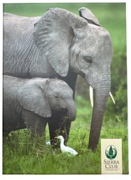 Elephant Notecards