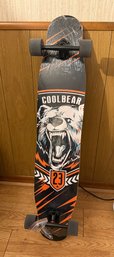 AODI Coolbear Longboard Skateboard
