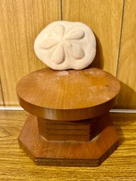 Wooden Pedestal And Large Sea Biscuit