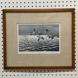Maynard Reece - 'The Passing Storm- Canvasbacks'
